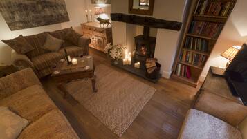 TV, fireplace, DVD player