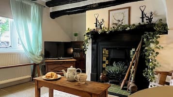 TV, fireplace, DVD player