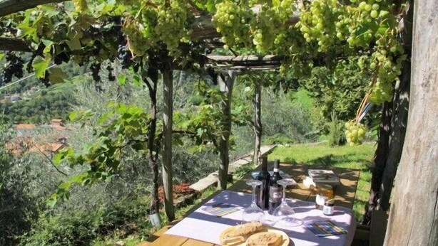 A wooden picnic table set up under a grapevine pergola with a tablecloth, wine bottles, glasses, and bread. - Villa with large garden and super breathtaking panorama, relaxation, peace (vercana)