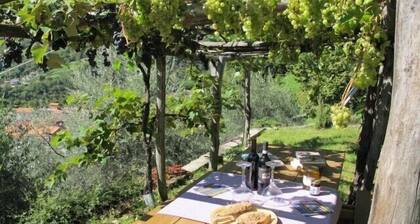 Villa with large garden and super breathtaking panorama, relaxation, peace