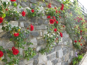 Detalle del exterior