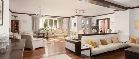 TV connectée, cheminée, jeux vidéo, lecteur de DVD