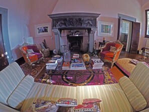 TV, fireplace, DVD player, books
