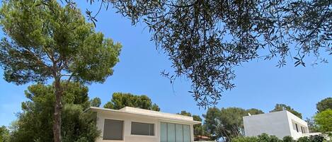 حمّام سباحة خارجي