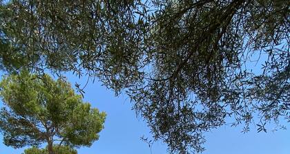 Villa moderne avec piscine et dort 8