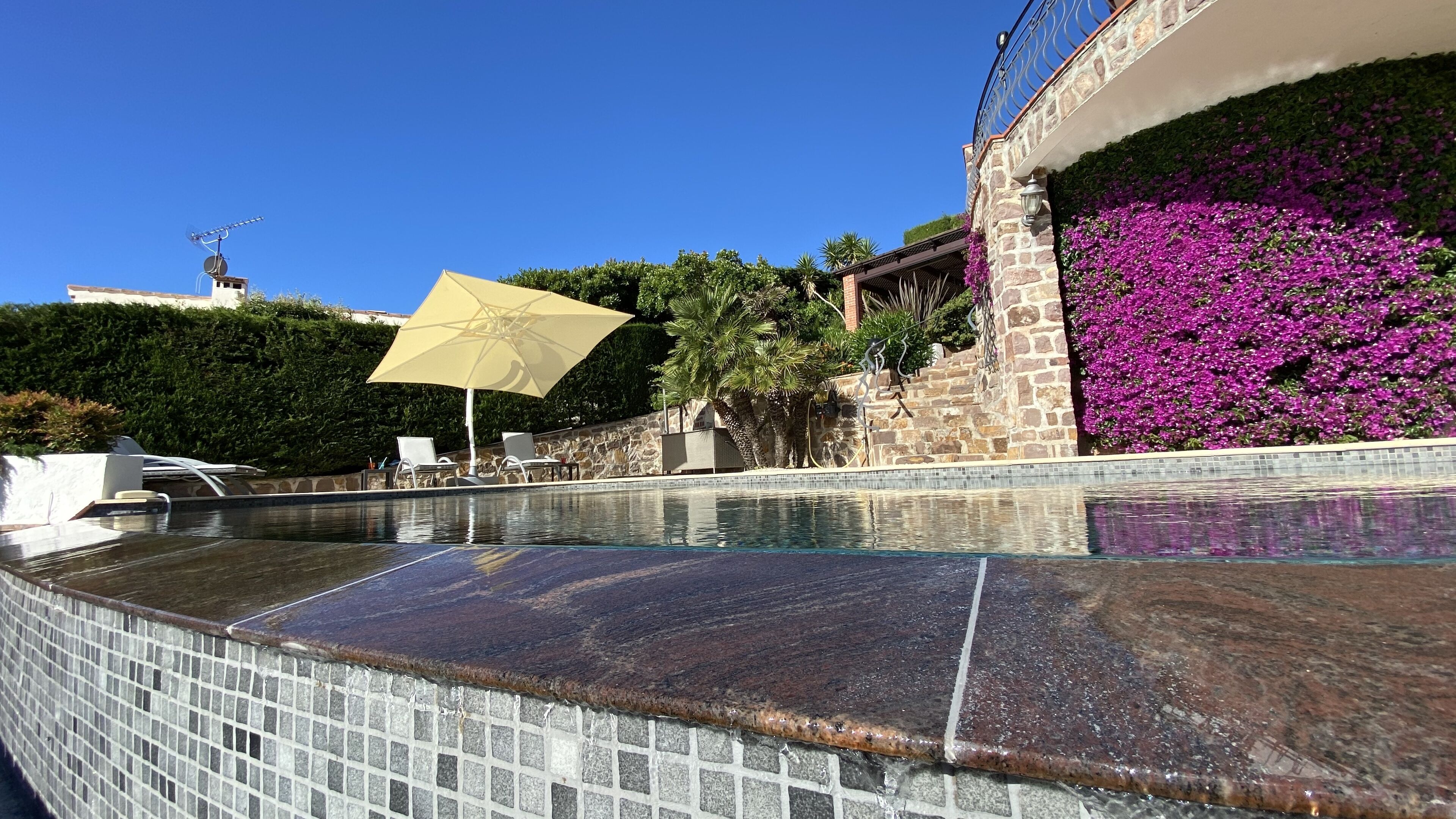A swimming pool with a tiled edge, a yellow umbrella, and a stone wall with purple flowers.