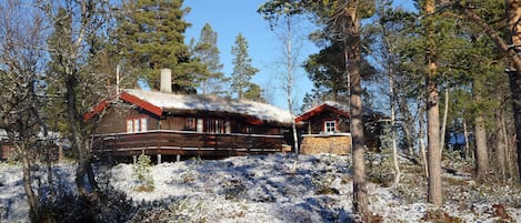 Exteriör