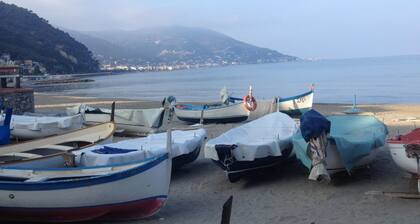 Vacation offer from 5/13July green the blue 5 minutes walk from the sea