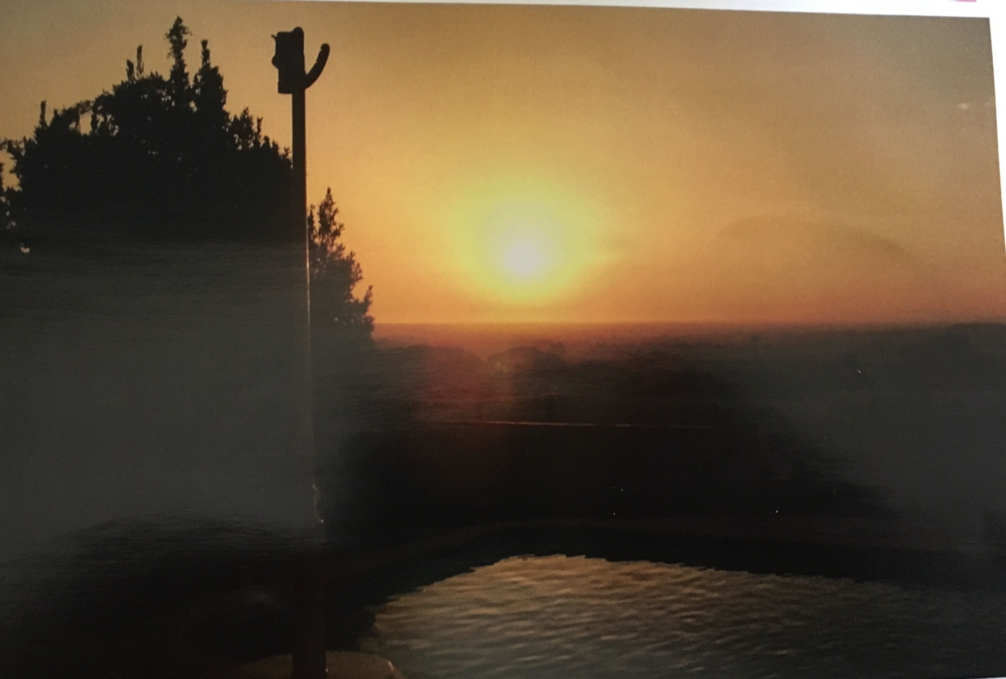 Casa da Encosta Cabanas Fantastic olive oil to rest.