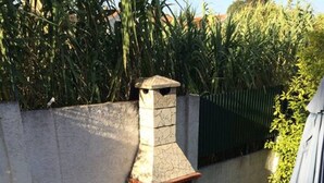 Eine terrasse mit Steinplatten, ein gemauerter Außenofen und eine niedrige Mauer, umgeben von dichter Vegetation.