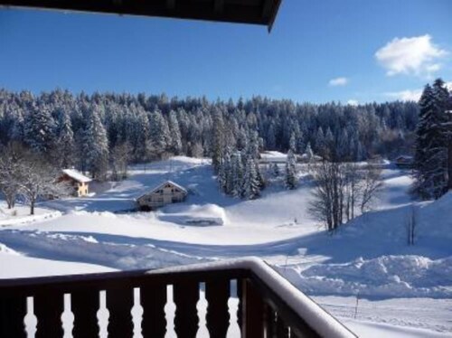 Chalet / Hütte - Lamoura