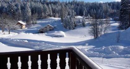 Chalet / Hütte - Lamoura