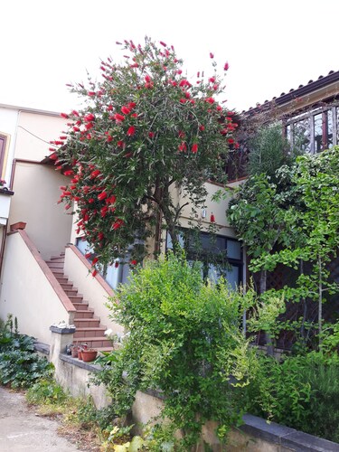 Apartment/ flat - Budoni