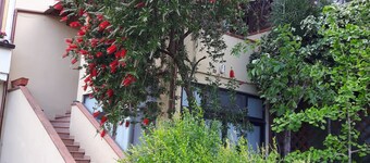 Apartment/ flat - Budoni