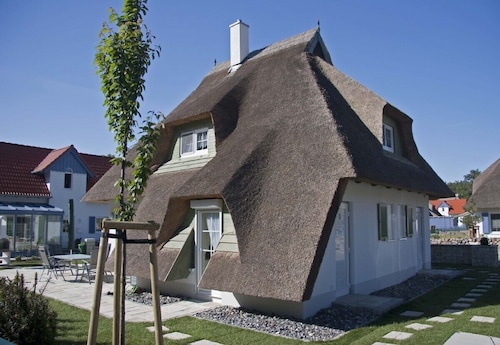 Exclusive holiday home with thatched roof, right by the sea and on the beach behind the dune