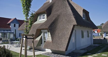 Exclusive holiday home with thatched roof, right by the sea and on the beach behind the dune