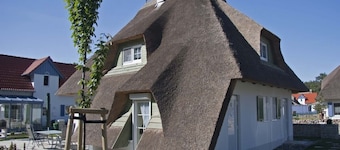 Exclusive holiday home with thatched roof, right by the sea and on the beach behind the dune