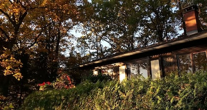 Forest, water, stone, "small Canada" in the middle of Saxony.