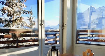 Appartement renove de 2 chambres et coin montagme, 6 personnes. PrĂšs des pistes