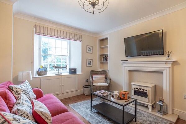 Smart TV, fireplace, books