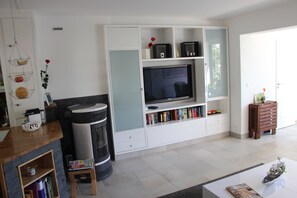 Smart TV, fireplace, DVD player, books