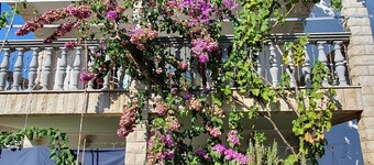 Nice, quiet, and inexpensive family apartment with proximity to sandy beach