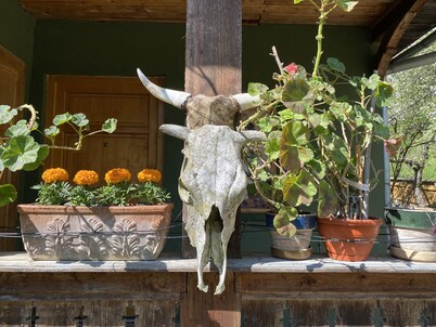 Located in the middle of the most beautiful cultural landscapes of Maramures