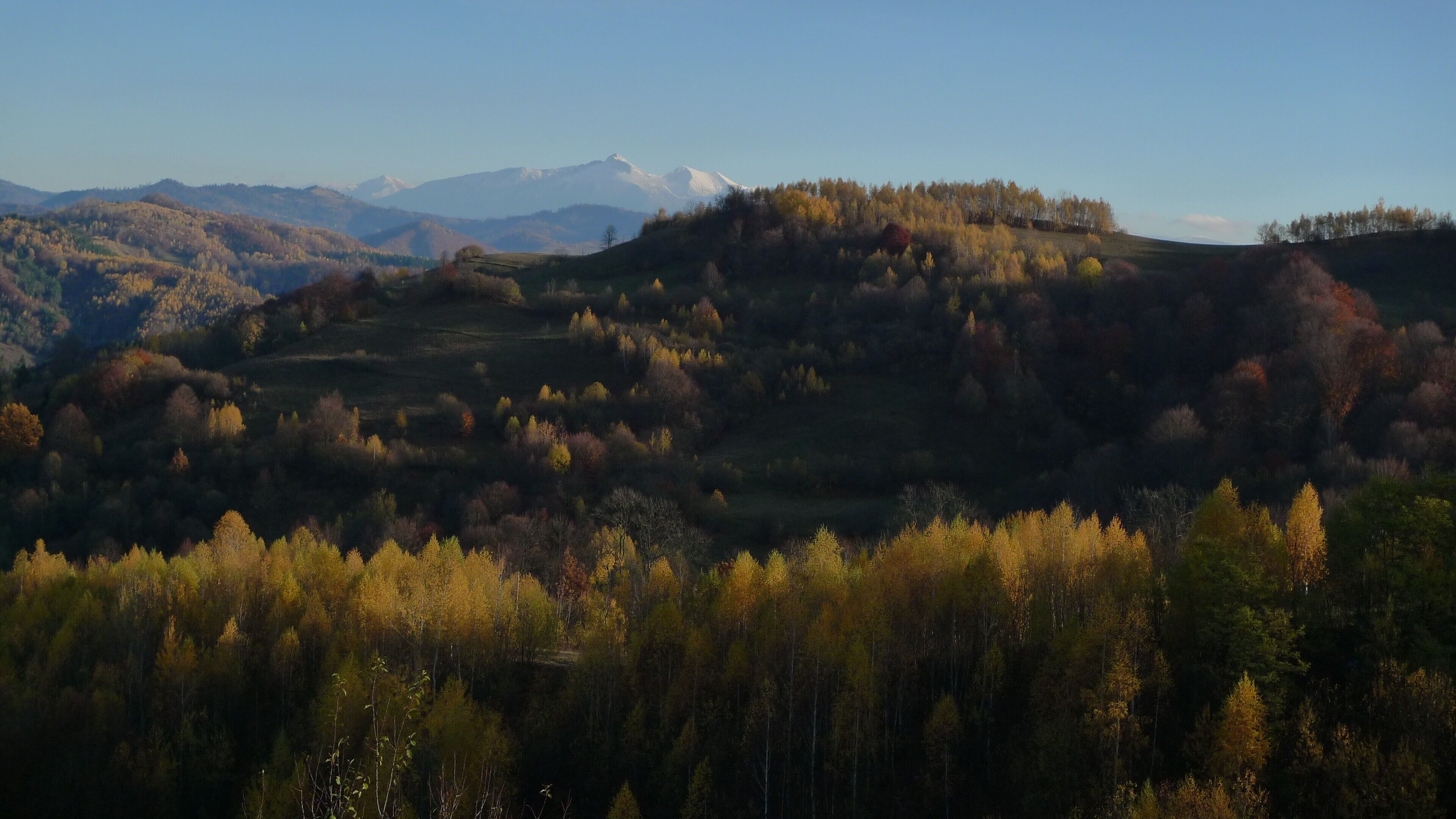 Un paysage montagneux aux couleurs automnales, avec des pics enneigés qui se dressent à l’horizon.