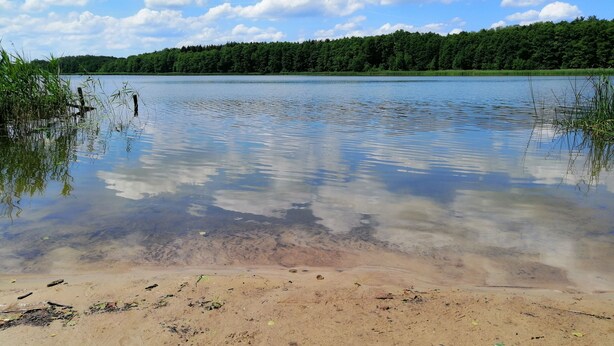 Um lago límpido com margem arenosa, rodeado por floresta densa.