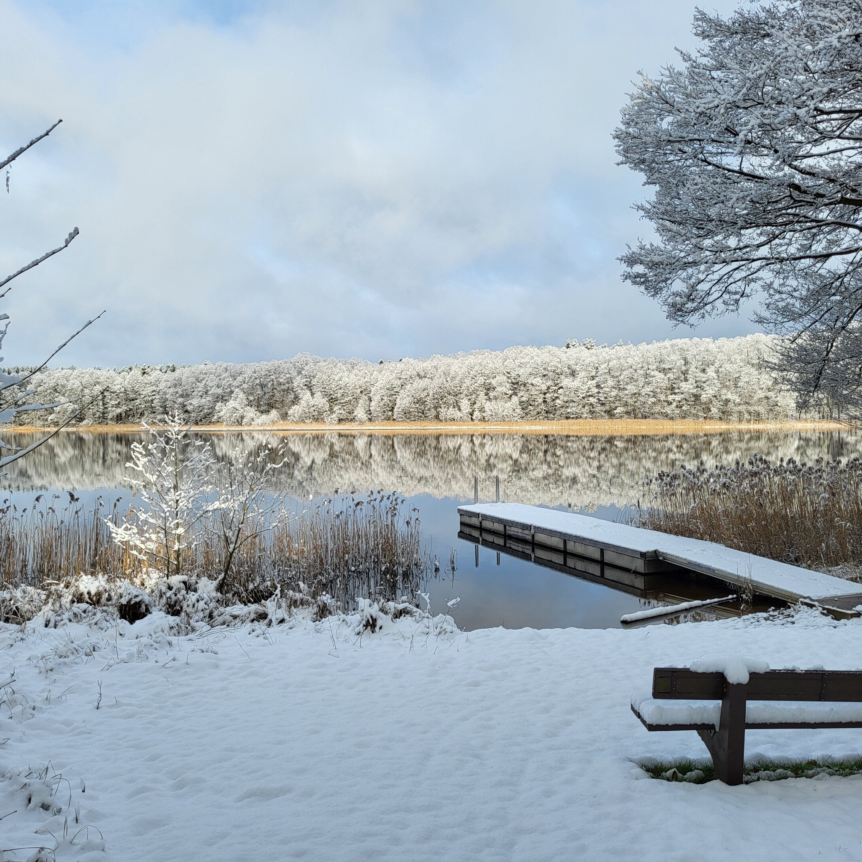 A snow-covered landscape with a frozen lake, a wooden dock, and a bench.