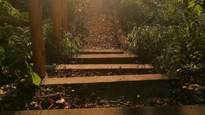 Uma passarela de madeira leva a um deck de madeira, com vista para um corpo d'água.