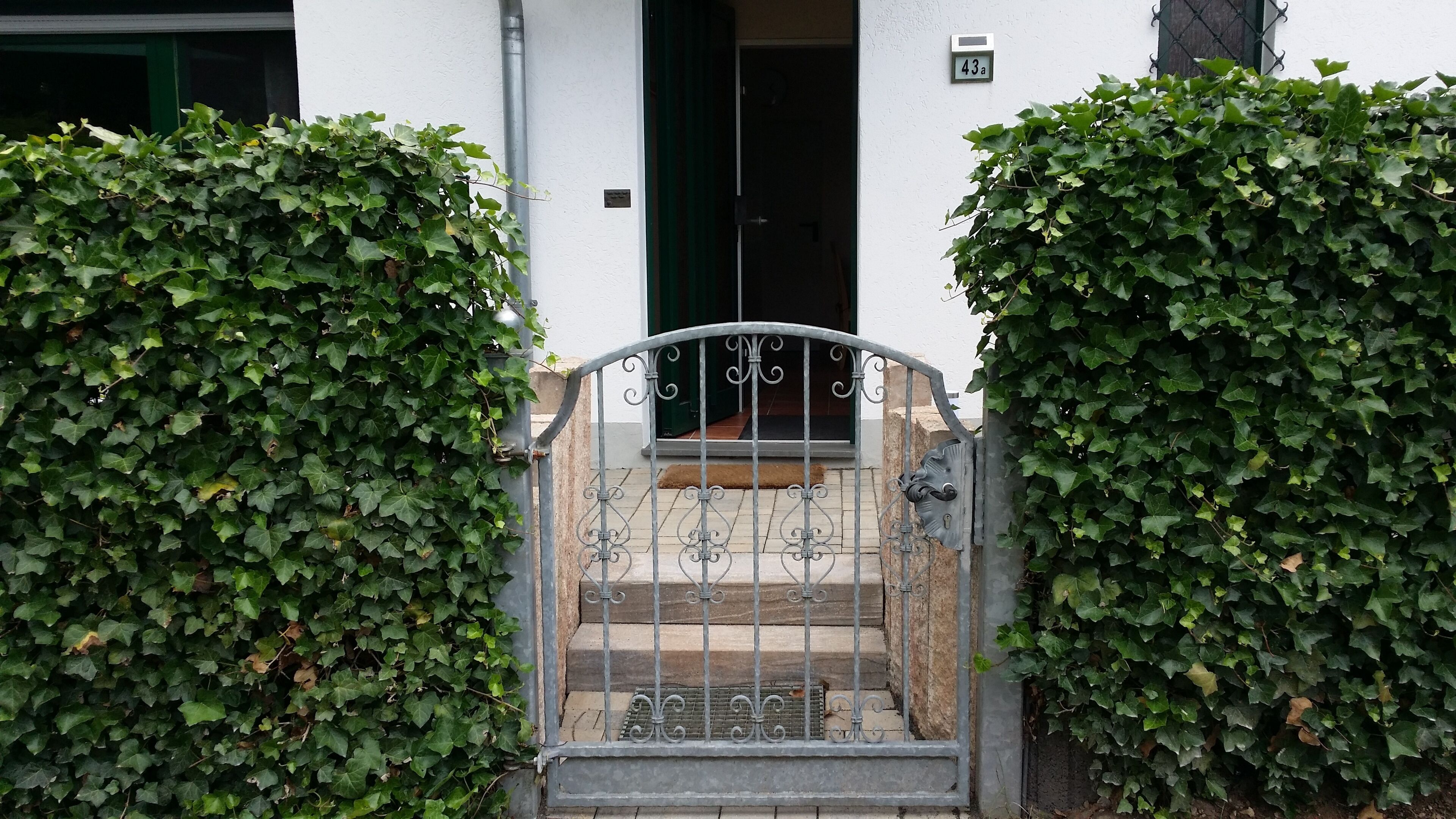 Une entrée fermée par un portail en métal, entourée d’une végétation luxuriante de lierre.