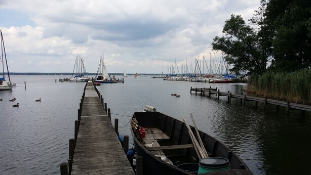 Une jetée en bois mène à une marina où plusieurs bateaux sont amarrés.