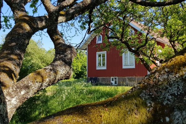 Blick auf die Villa Lycka