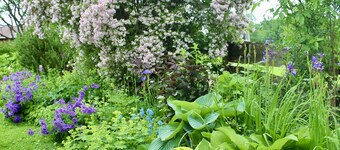 Manor Rocky Docky, historic building in a secluded location at the Niedersonthofner lake