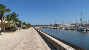 Un port de plaisance avec des bateaux amarrés, une promenade pavée et des palmiers.