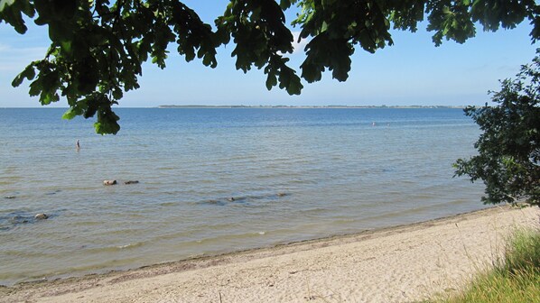 Une plage avec une eau calme, un rivage sablonneux et des arbres au premier plan.