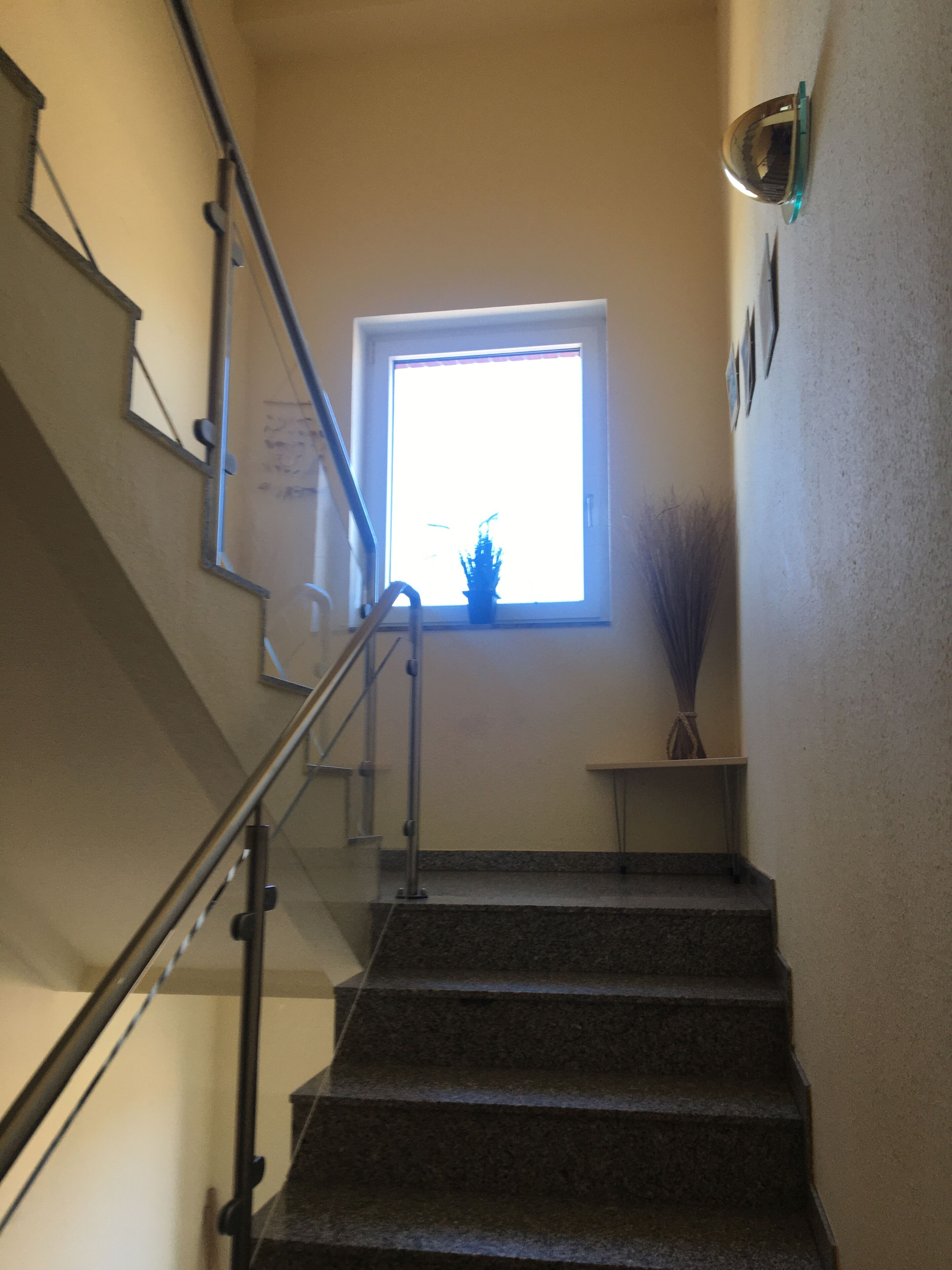 Eine Treppe mit Handlauf, ein Fenster mit Pflanze und eine Wandleuchte.