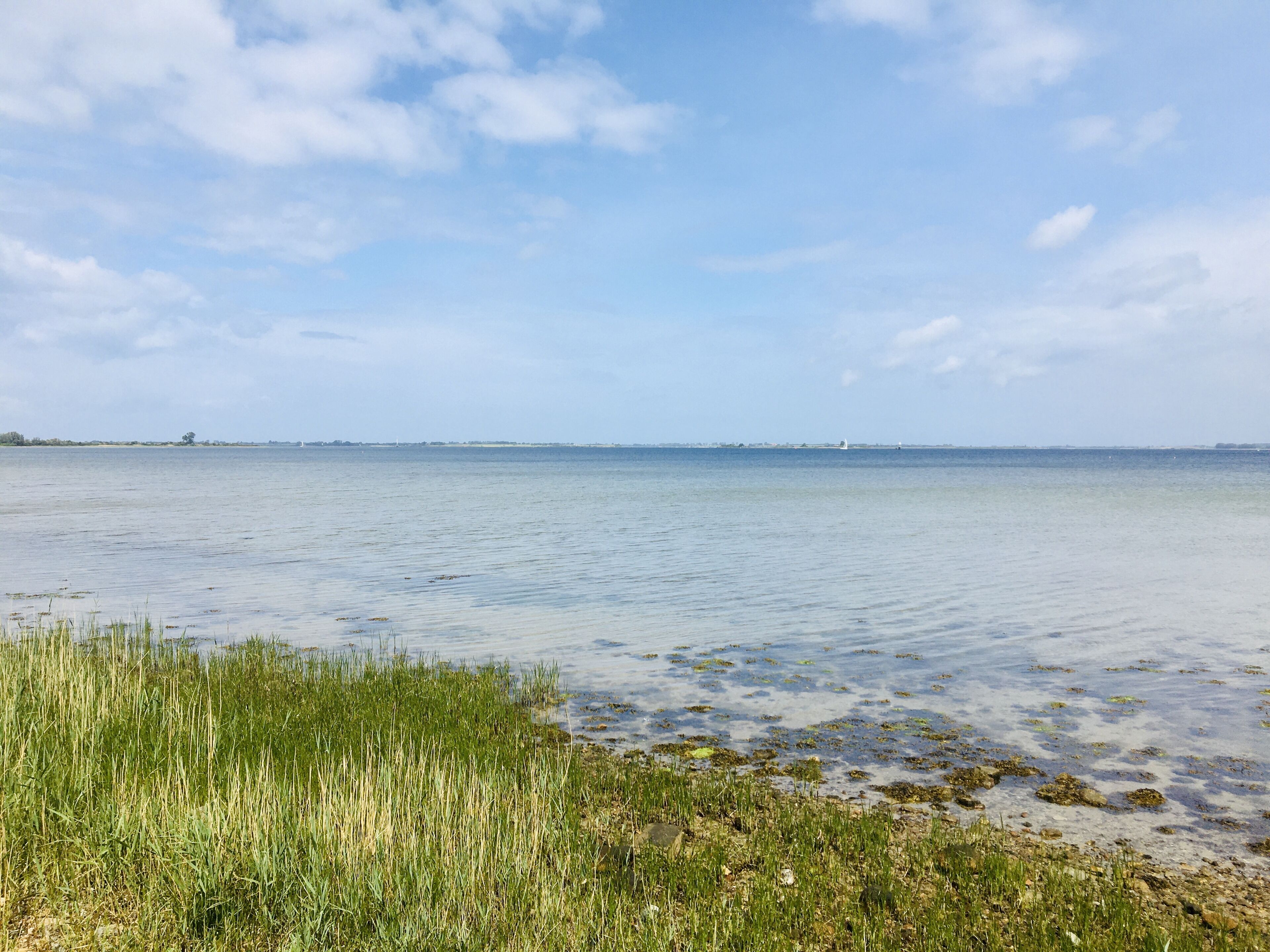 Ruhige Wasserfläche mit blauem Himmel und weiter Landschaft.