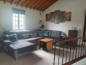 Télévision, cheminée, lecteur de DVD, livres