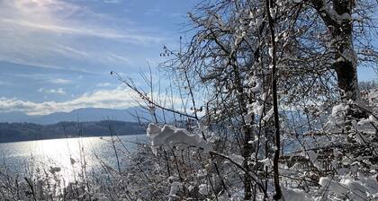 Ihr Traumurlaub im Chalet am See