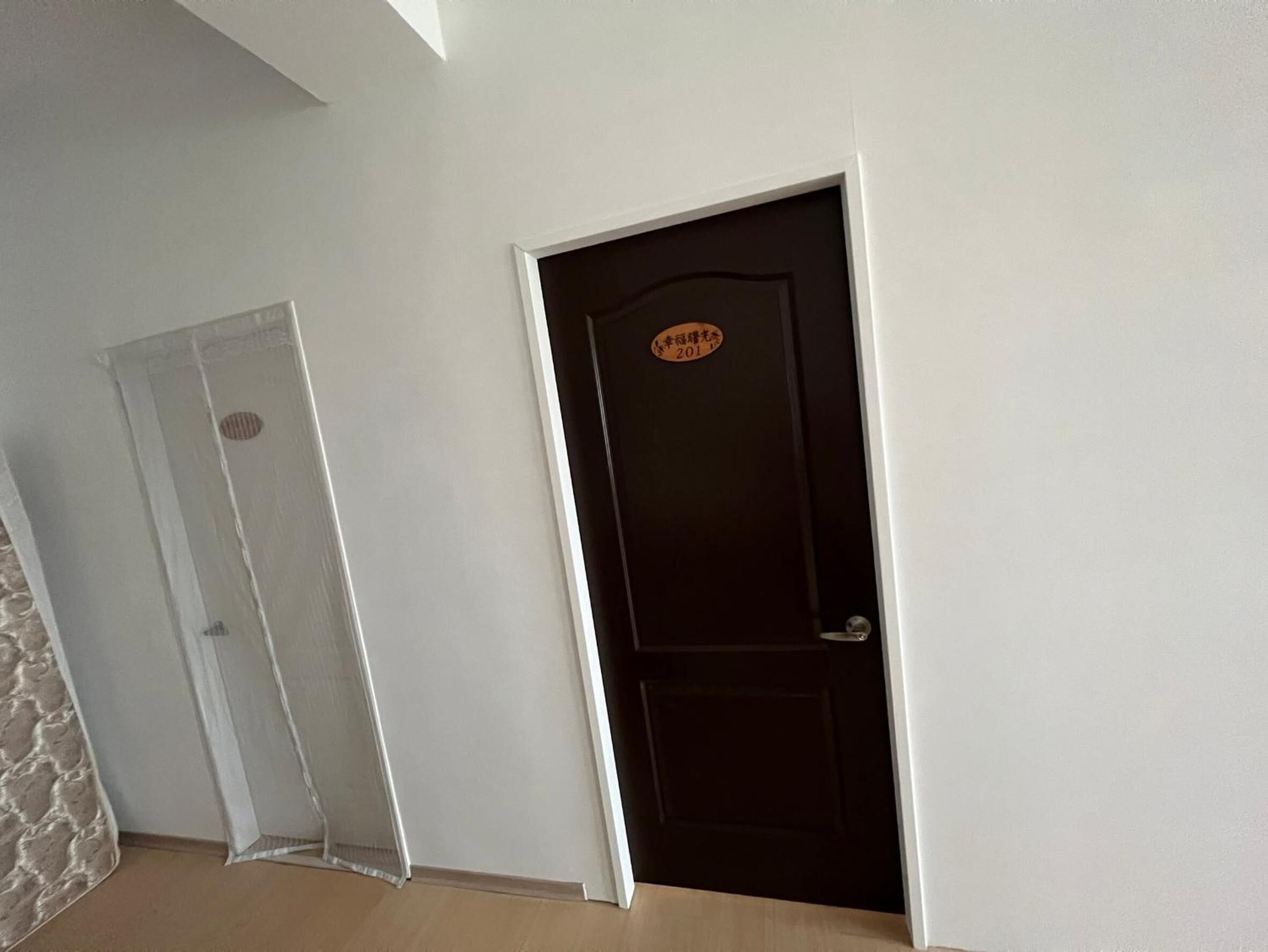 A room with a dark wooden door, a white door, and a textured wall.