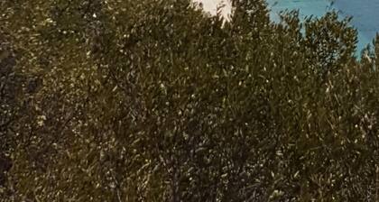 Moderni, iso ja kaunis huvila 10 hengelle, uima-allas ja puutarha Azeitão.