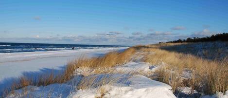 Playa en los alrededores y camastros