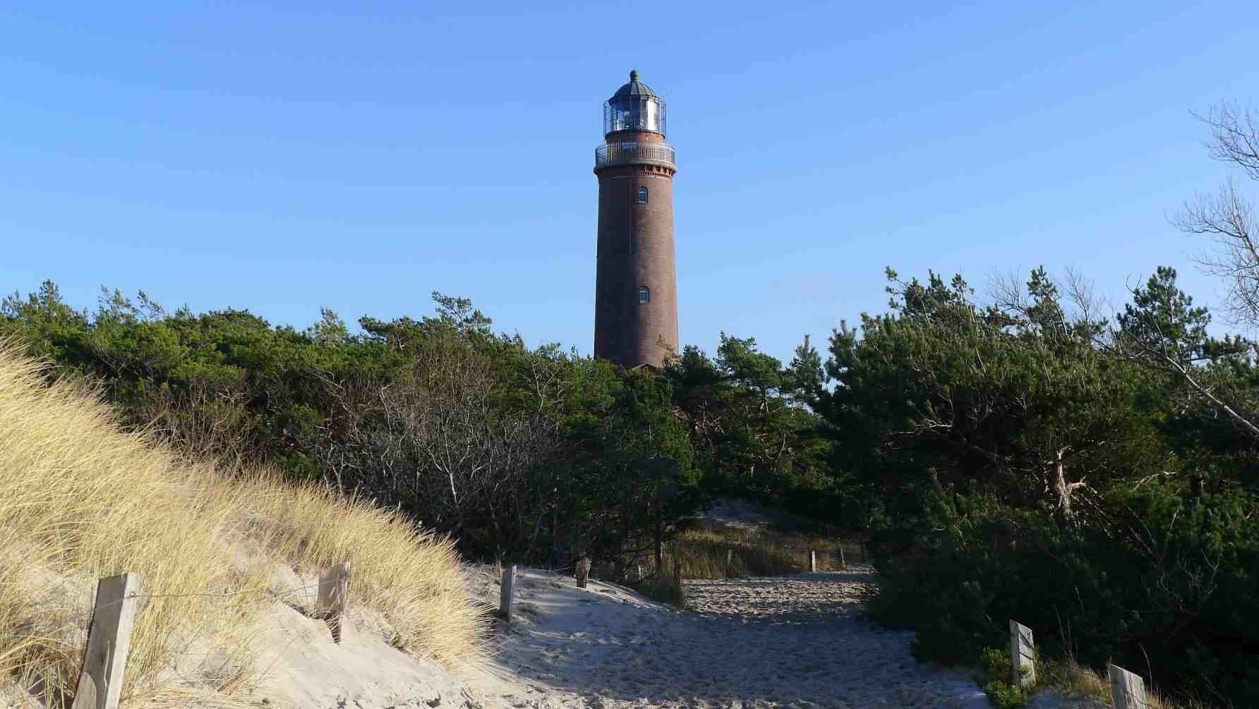 Un faro circondato da alberi fitti e erba secca.