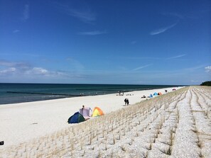 بالقرب من الشاطئ، كراسي للتشمس