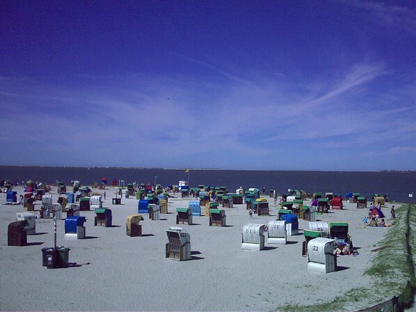 Nära stranden