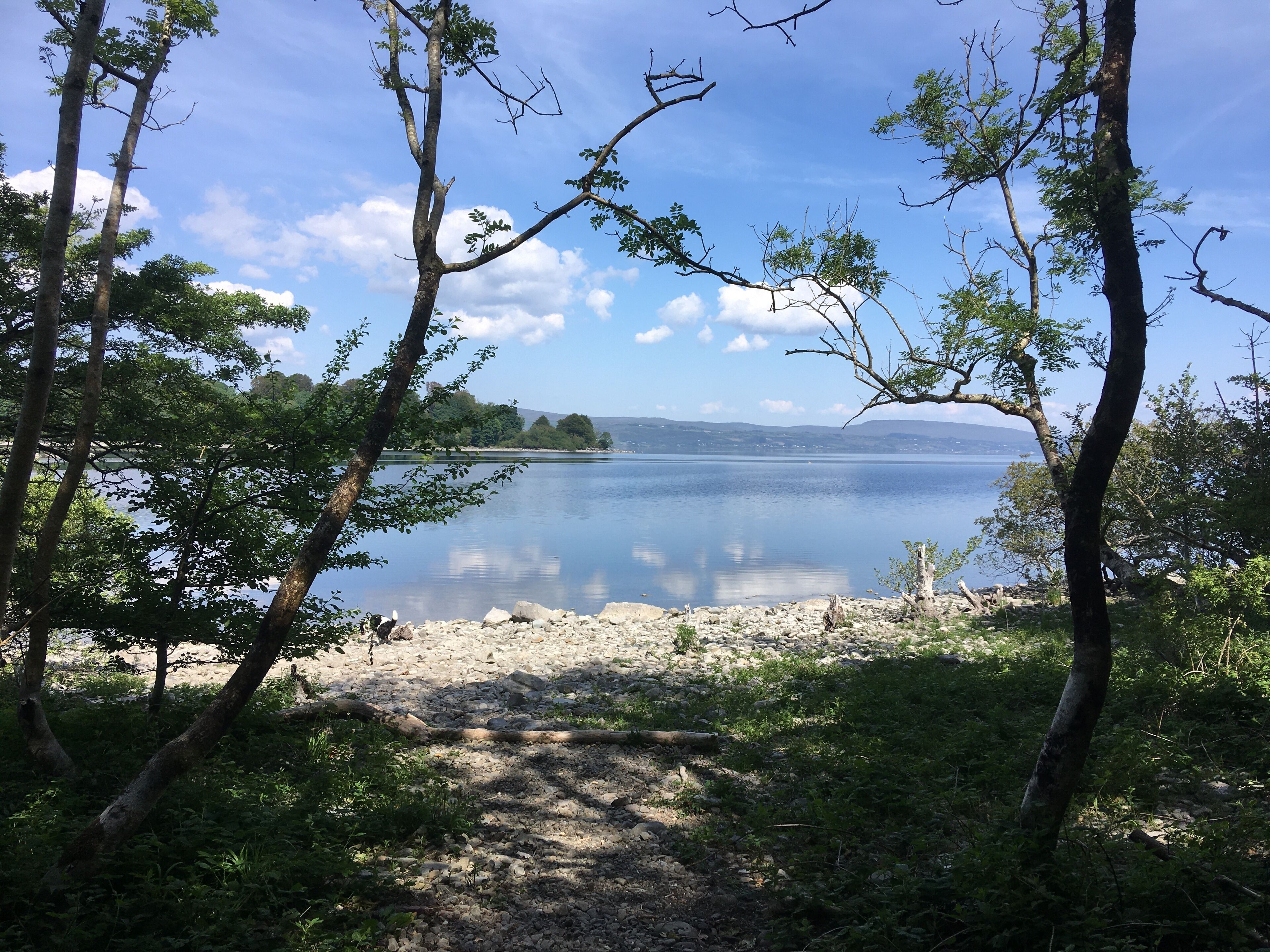 A serene lakeside view with trees framing the water, a rocky shoreline, and distant hills.