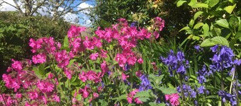 Vacation in paradise typical country house