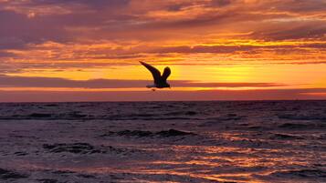 Een zeegezicht met een vogel die boven de oceaan vliegt tijdens de zonsondergang.